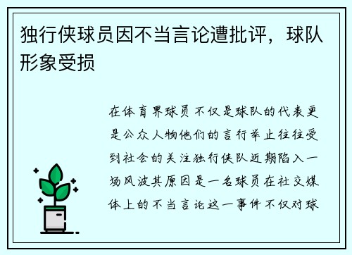 独行侠球员因不当言论遭批评，球队形象受损